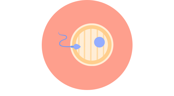 精子チェック