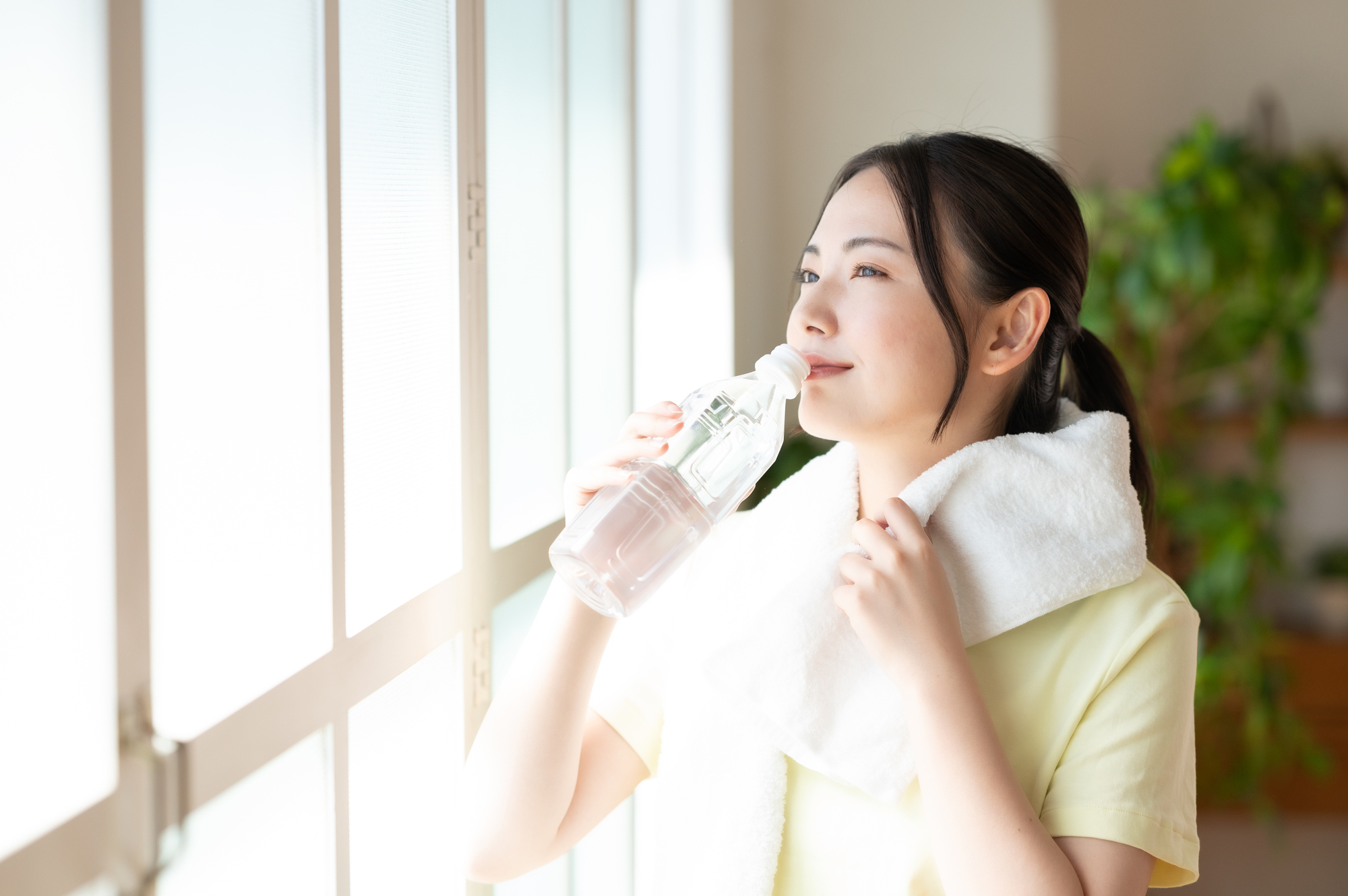 泌尿器